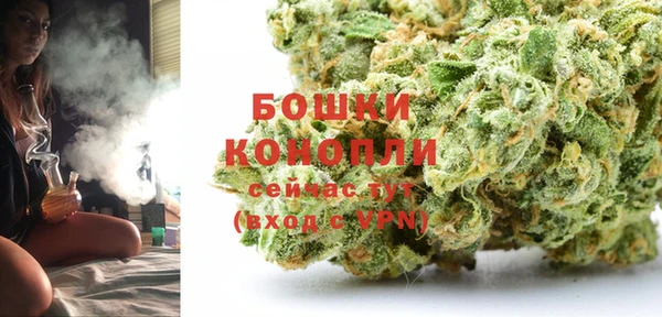 эйфоретик Богданович