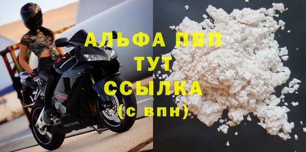 эйфоретик Богданович