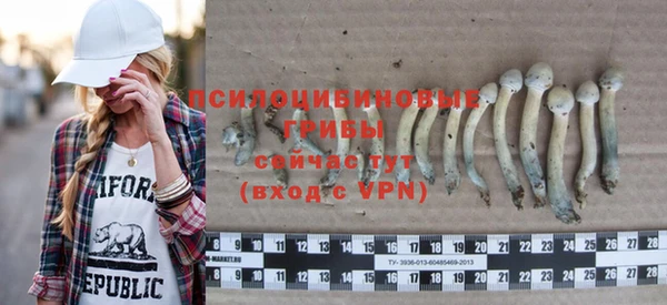 стафф Богородск