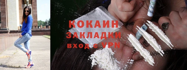 эйфоретик Богданович