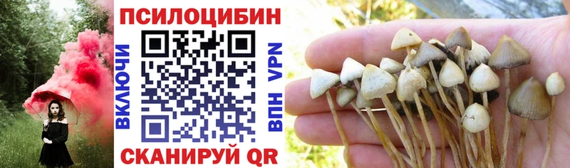 наркотики  это какой сайт  Псилоцибиновые грибы прущие грибы  Медногорск 
